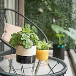 La Palmera Homestudio. Hermoso Apartamento En El Corazon De Palermo Hollywood