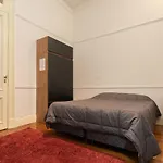 Premium Xl