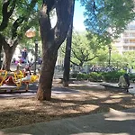 Miralejos Alto Palermo