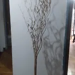 La Exclusiva De Oro