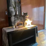 La Exclusiva De Oro