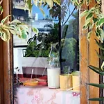 Garden House Hostel