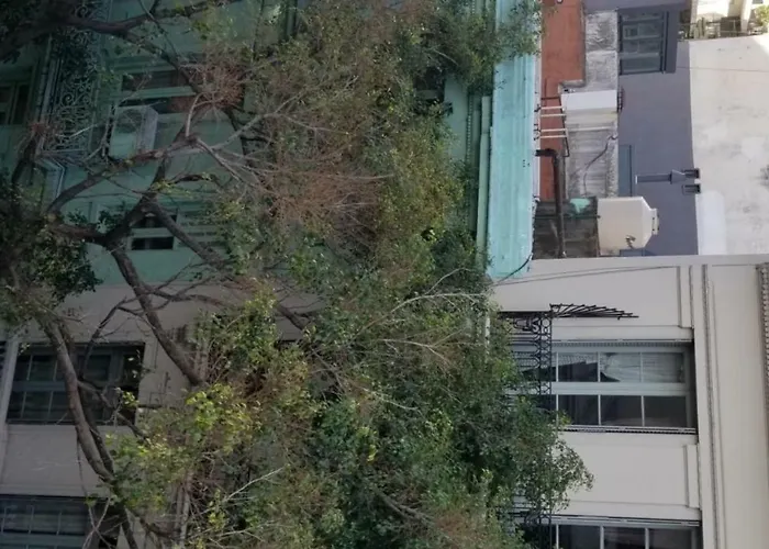 Recoleta Fashion No Se Acceptan Reservas De Ultima Hora Minimo 5 Dias
