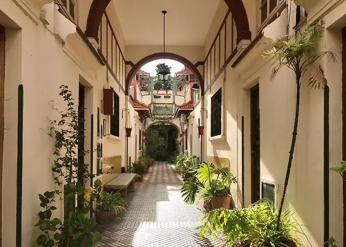 San Telmo Vivo