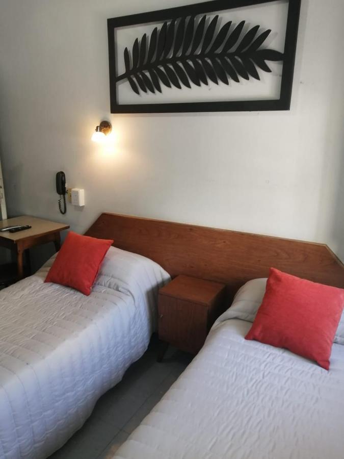 Confortable En Palermo Omega