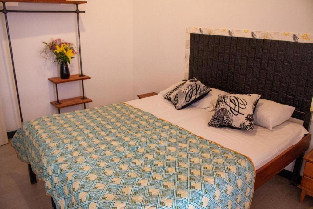 Ideal Social Hostel
