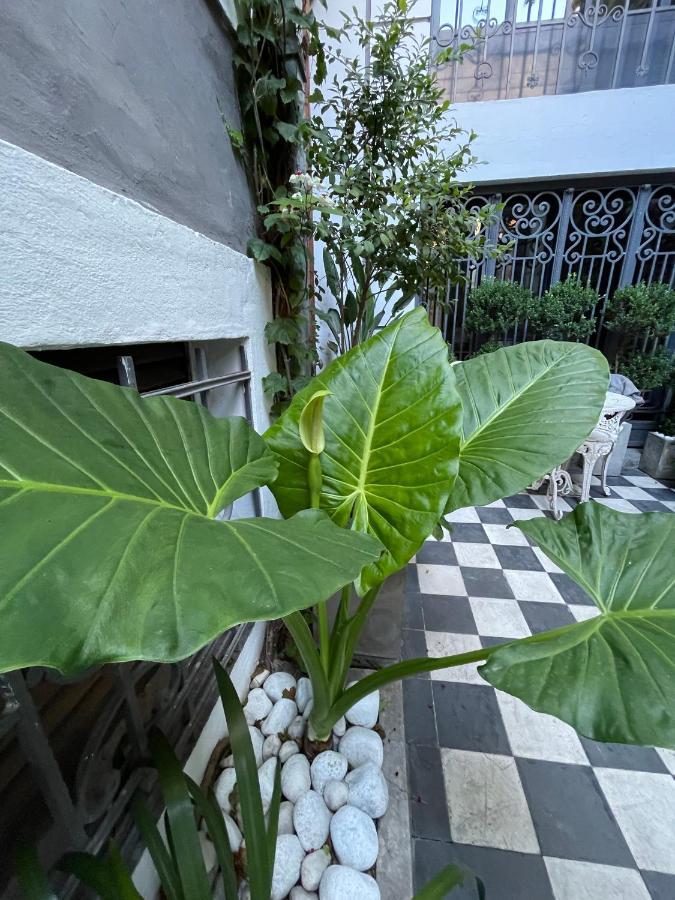 Le Petit Palais Bed & Breakfast