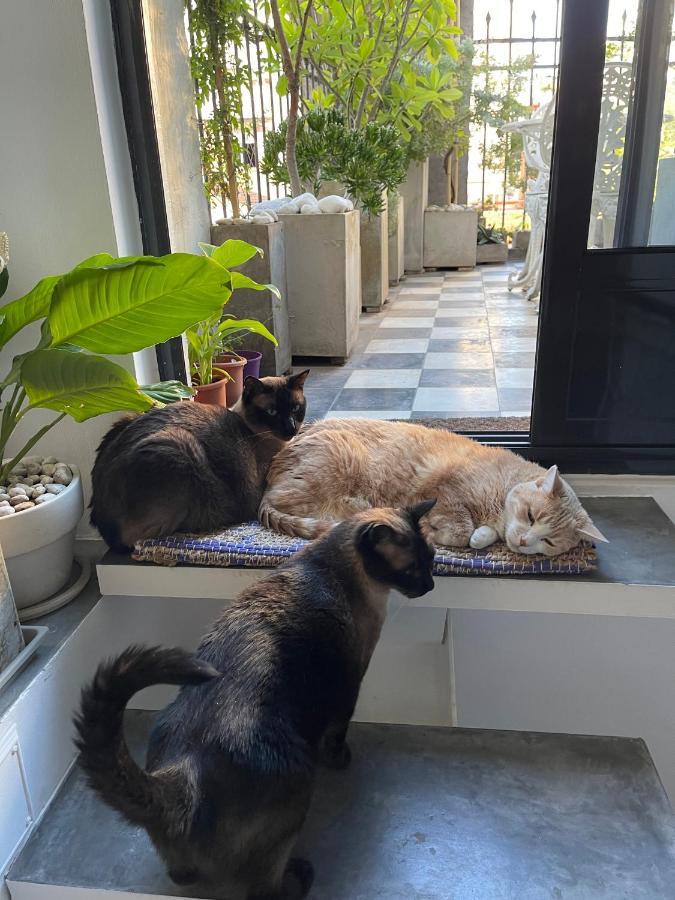 Le Petit Palais Bed & Breakfast Buenos Aires