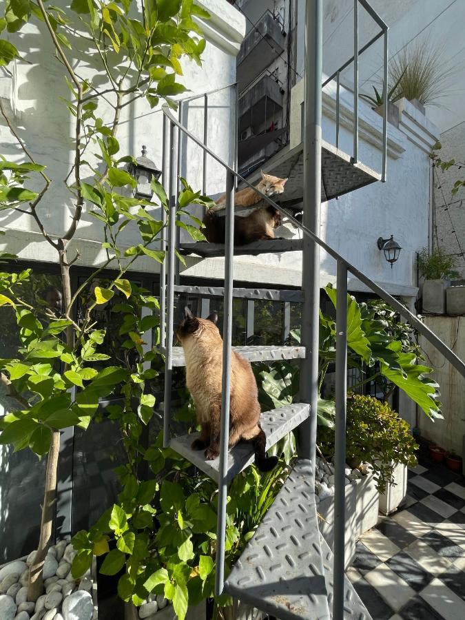 Le Petit Palais Bed & Breakfast Buenos Aires
