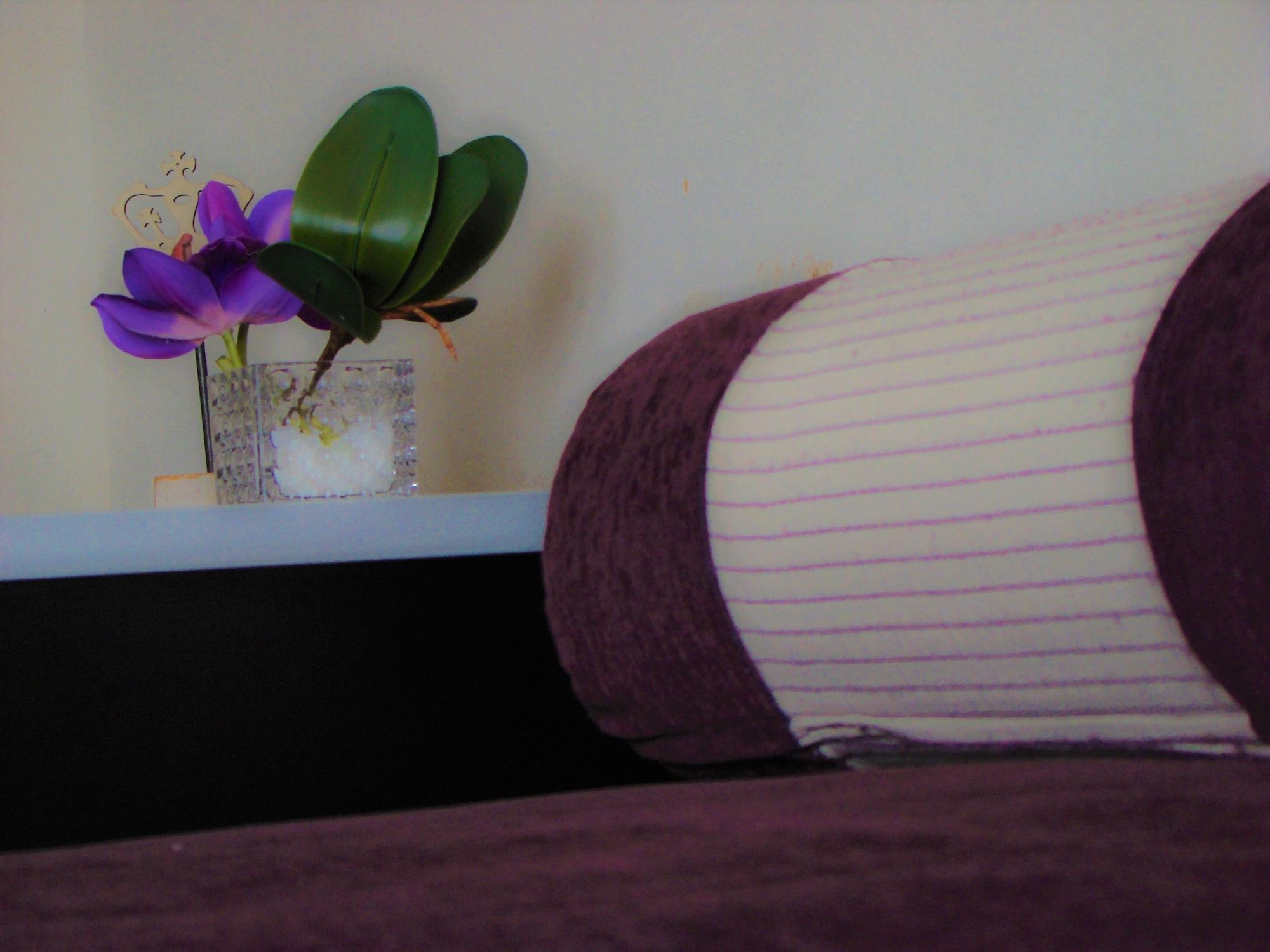 Hotel Petit Recoleta
