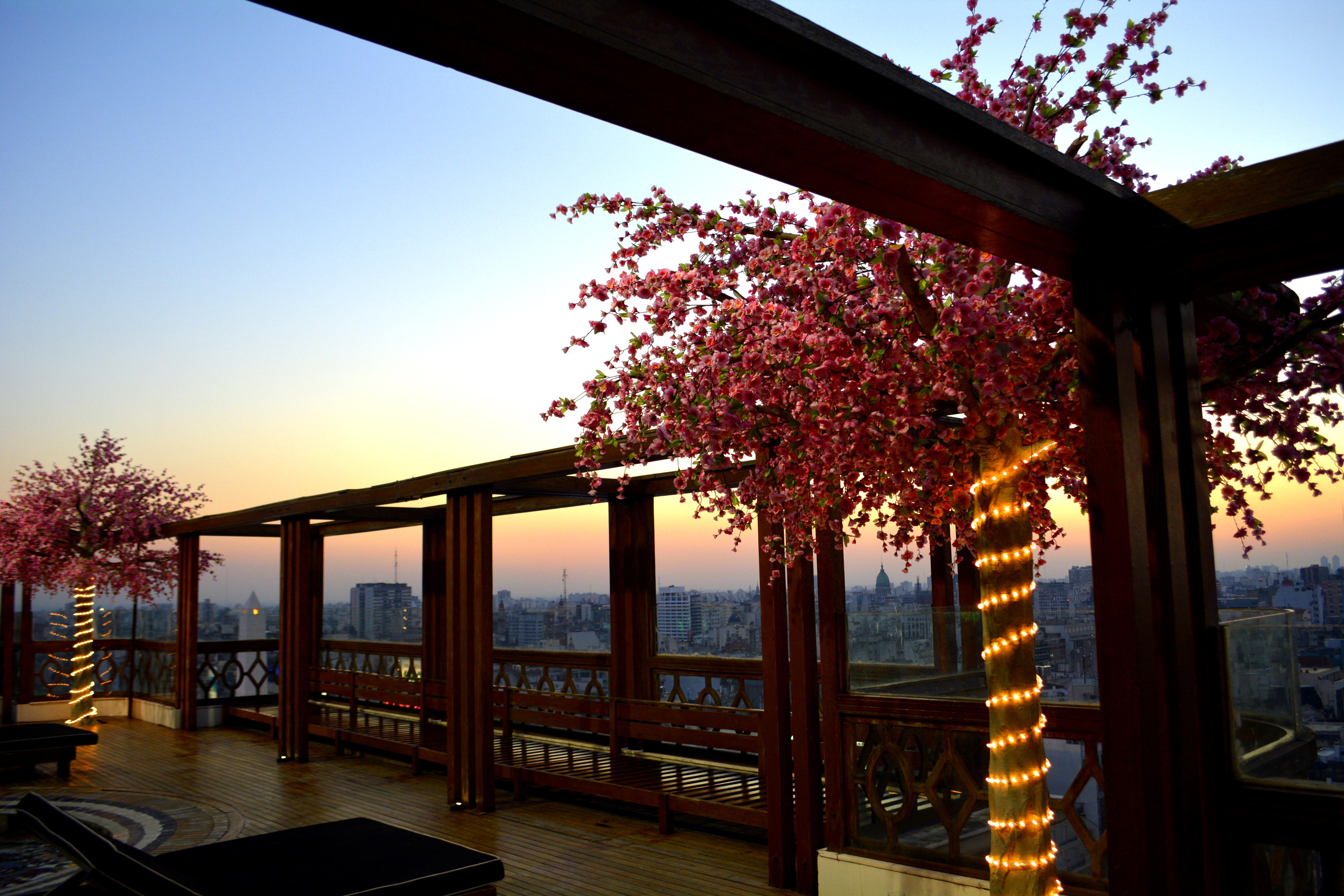 Marriott 5*