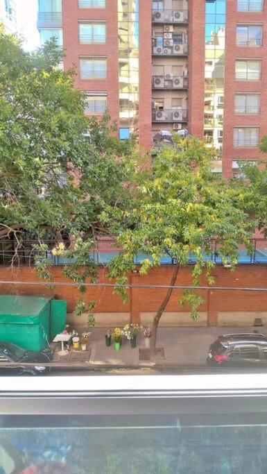 Unique Semi-flat In Palermo Nuevo Premium Sunview Apartment Buenos Aires