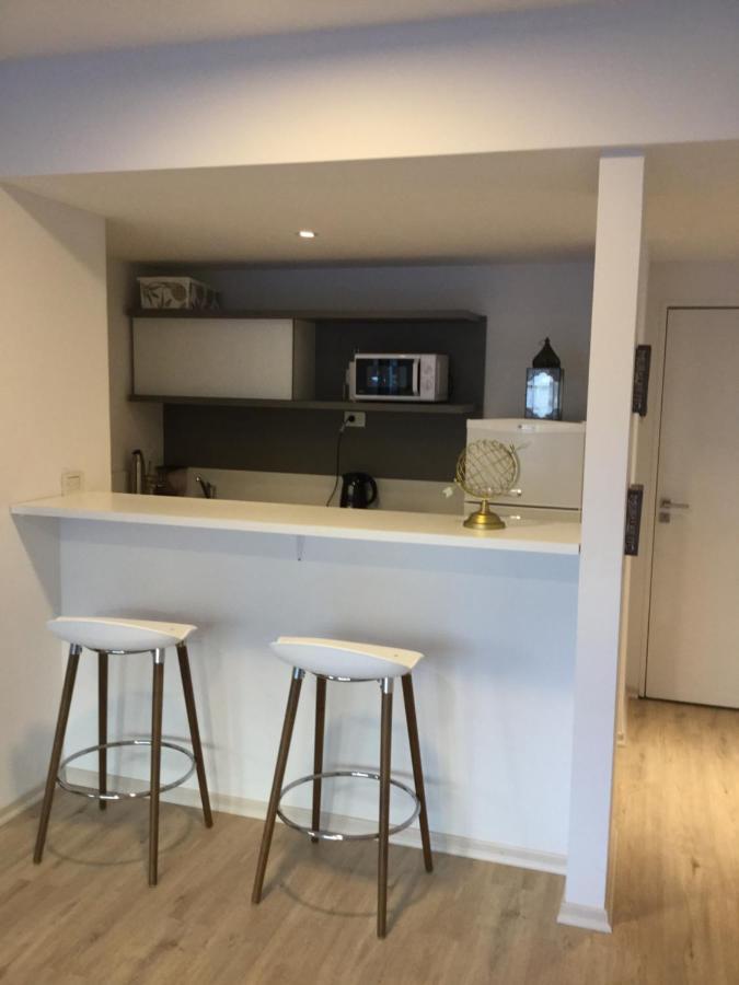 Mono Ambiente De Nivel Apartment