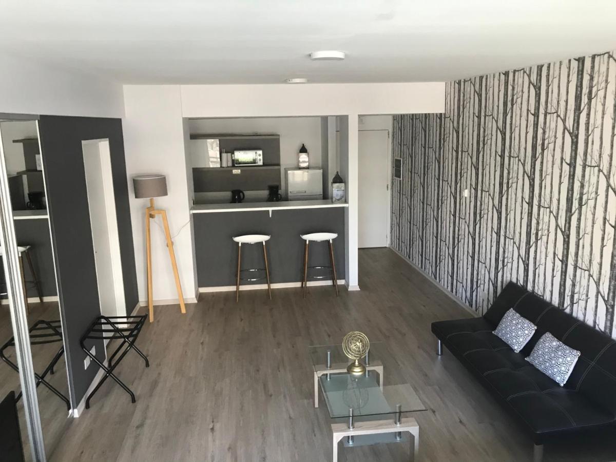 Mono Ambiente De Nivel Apartment