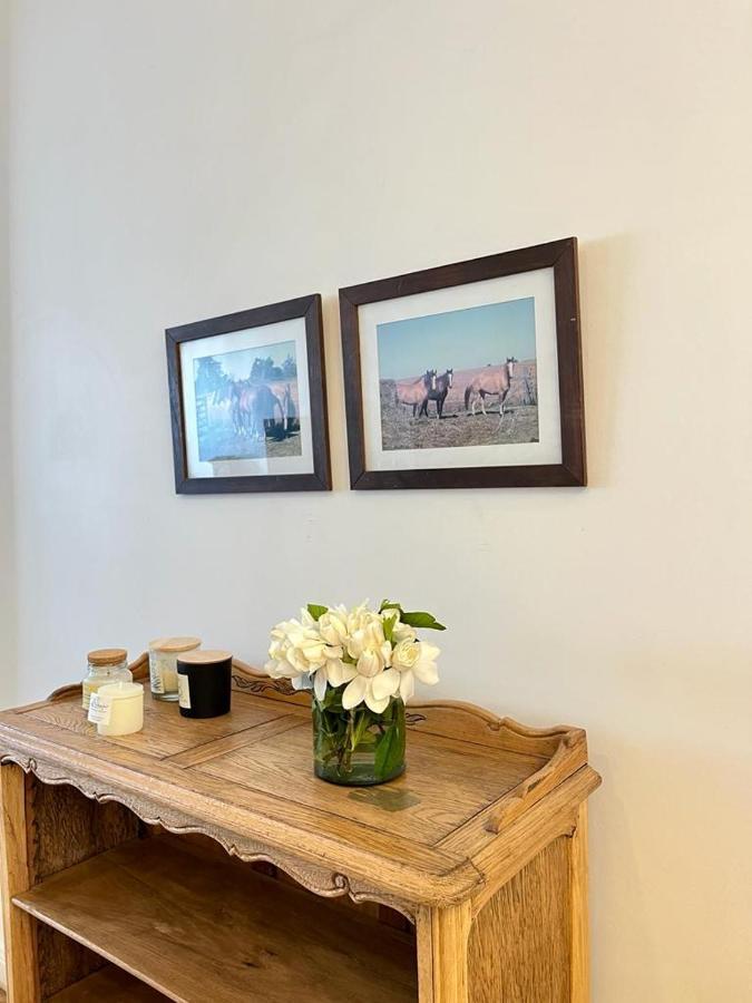 Parisian Flat In The Heart Of Recoleta Apartment