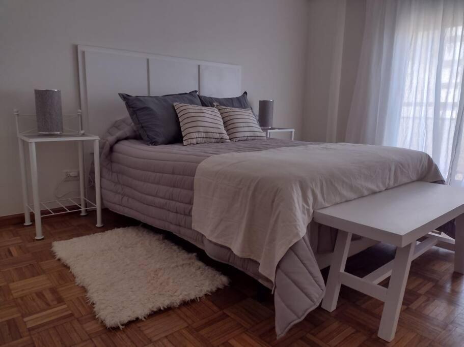 Hermoso Departamento En La Mejor Zona De Recoleta.