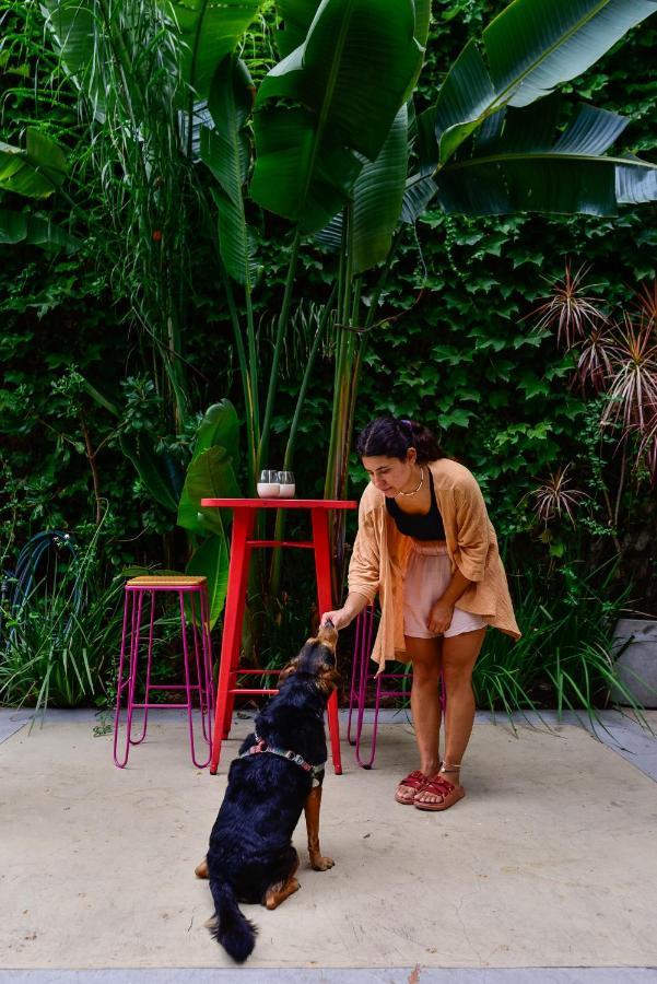 Bed & Breakfast Casa Caravan - Plant Based Concept House Buenos Aires