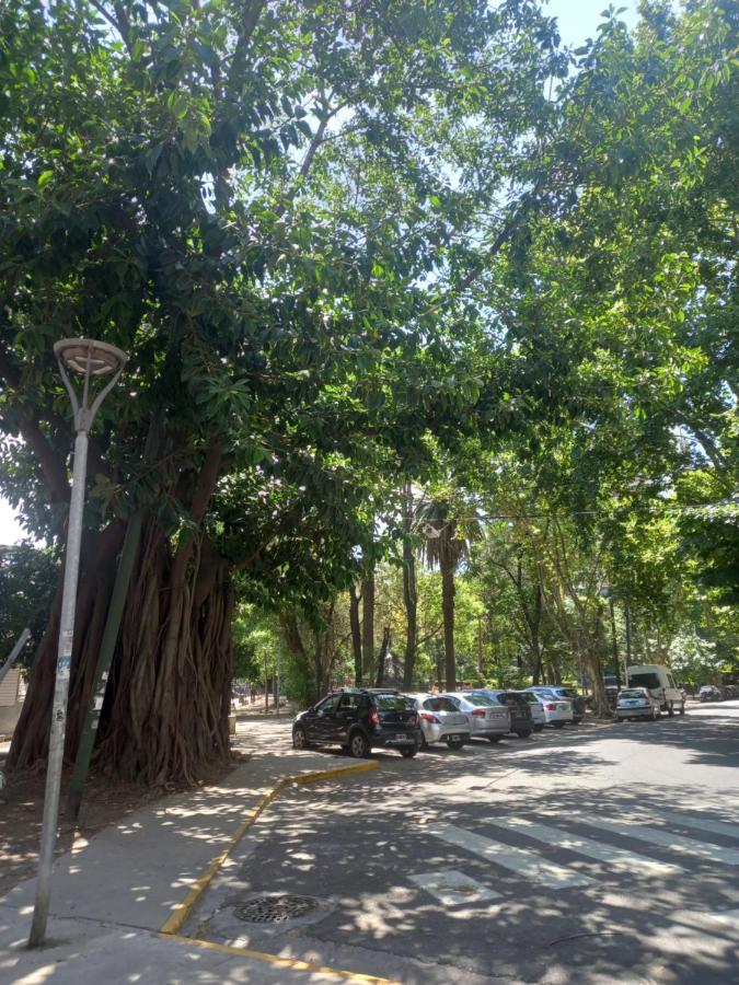 Departamento Cramer Y Sucre Apartamento *