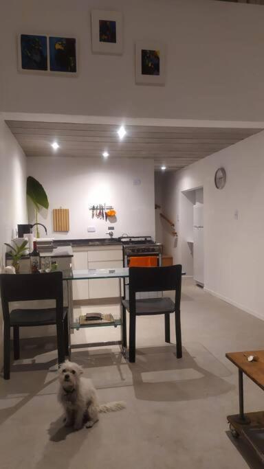 Apartment Departamento Nuevo A 4 Cuadras De Palermo Y 3 De Movistar Arena Buenos Aires