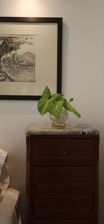 Lovely And Quiet Studio In The Heart Of Recoleta Buenos Aires