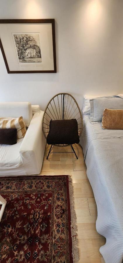 Lovely And Quiet Studio In The Heart Of Recoleta Apartment *