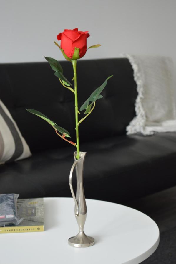 Disfruta De San Telmo Con Estilo Y Comodidad Apartment
