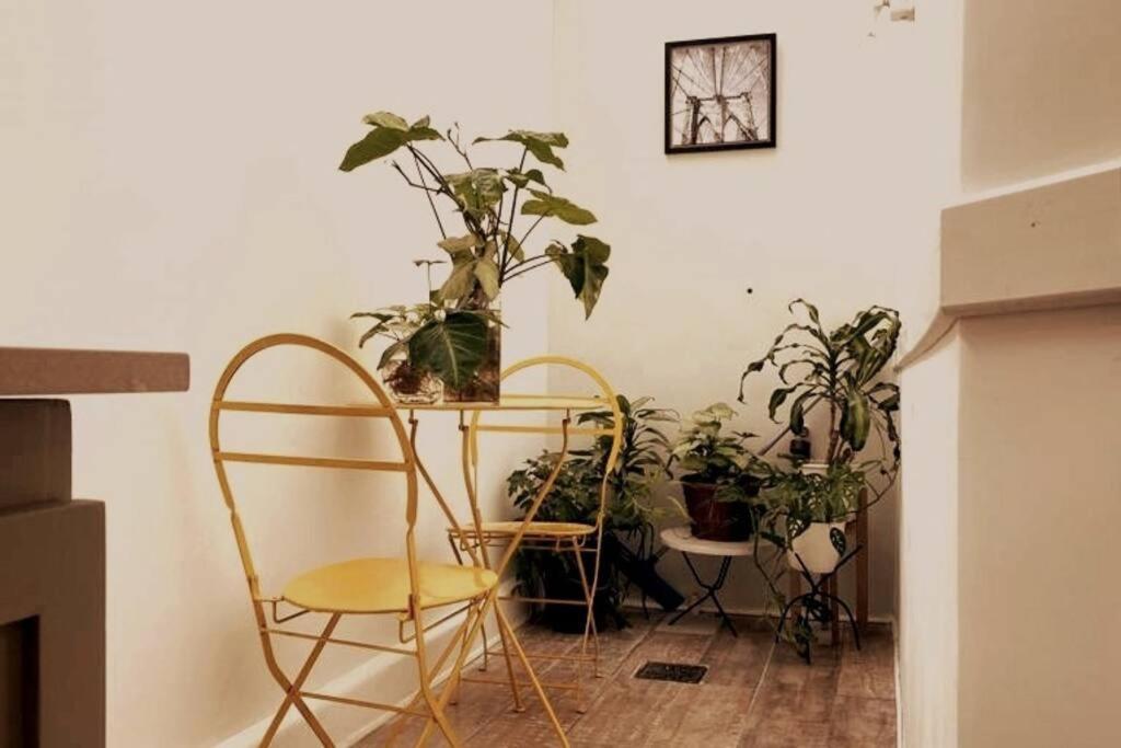 Piso De Estilo , Lo Mejor De Palermo Buenos Aires