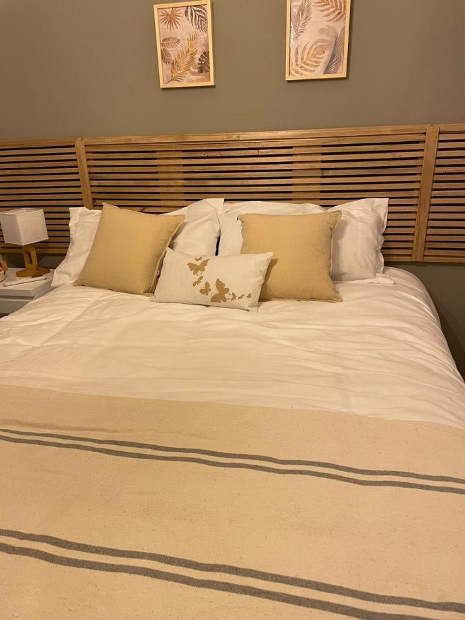 Apartment Recoleta