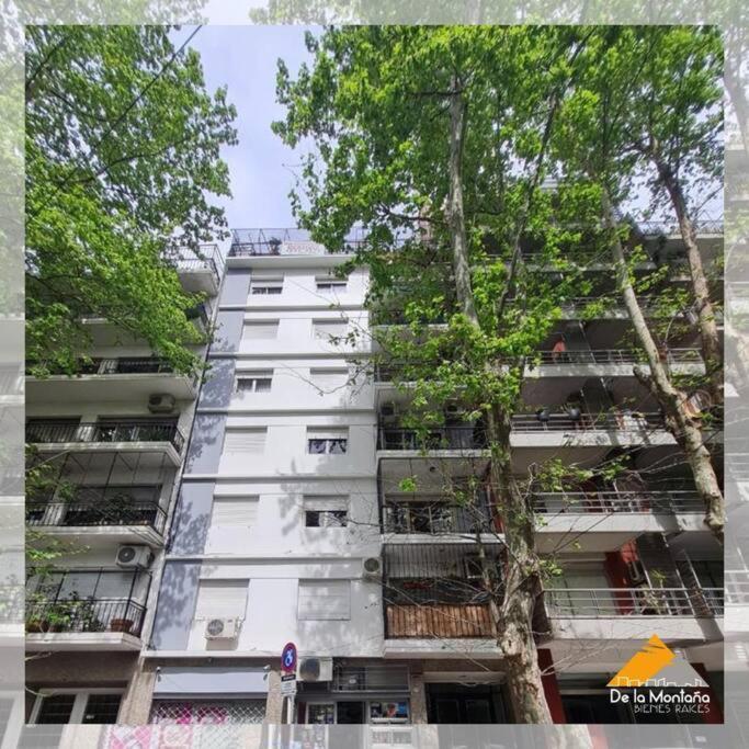 De La Montana • Palermo Buenos Aires