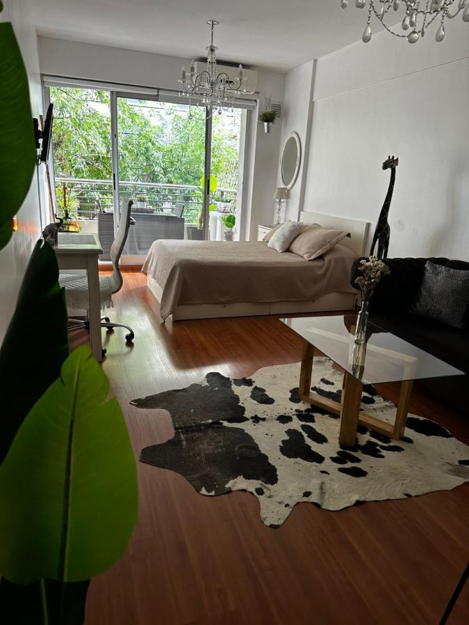 Hermoso Monoambiente En Belgrano