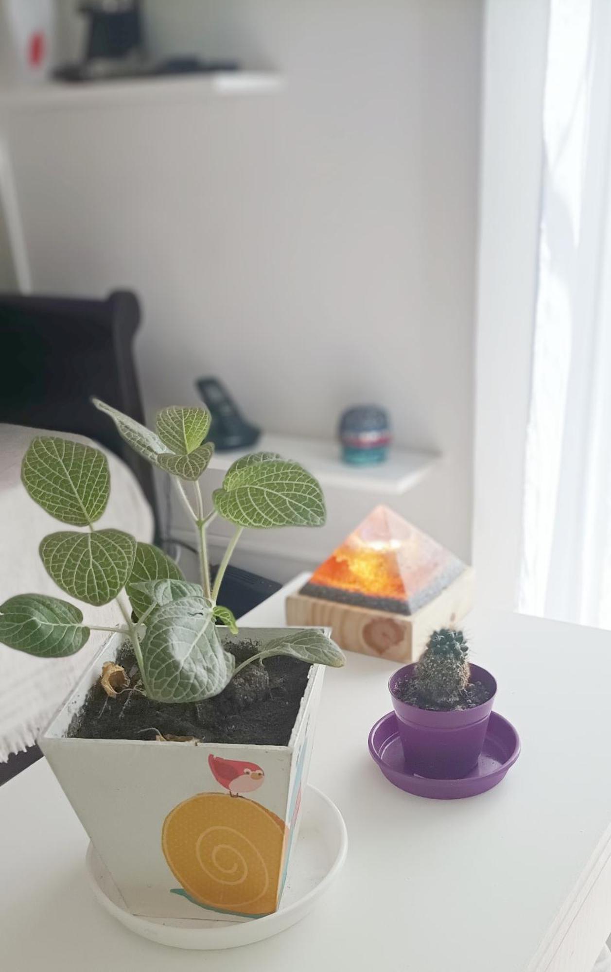 Departamento Muy Bien Ubicado, Comodo Y Luminoso, Wifi En Toda La Ciudad