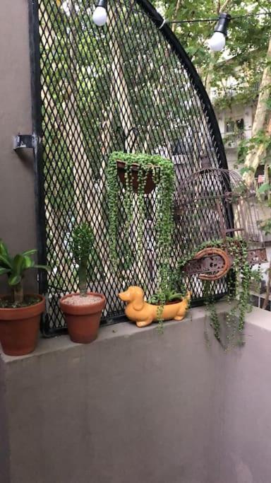Apartamento Con Terraza Y Plantas