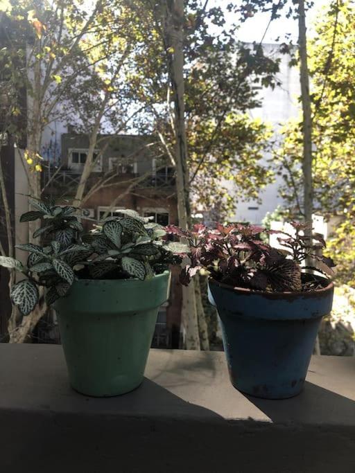 Apartamento Con Terraza Y Plantas