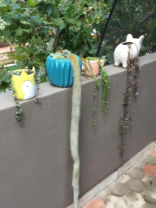 Apartamento Con Terraza Y Plantas *