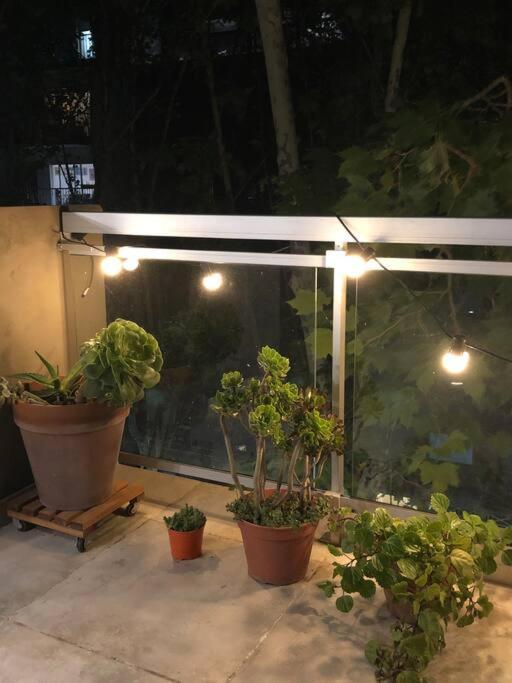 Apartamento Con Terraza Y Plantas *
