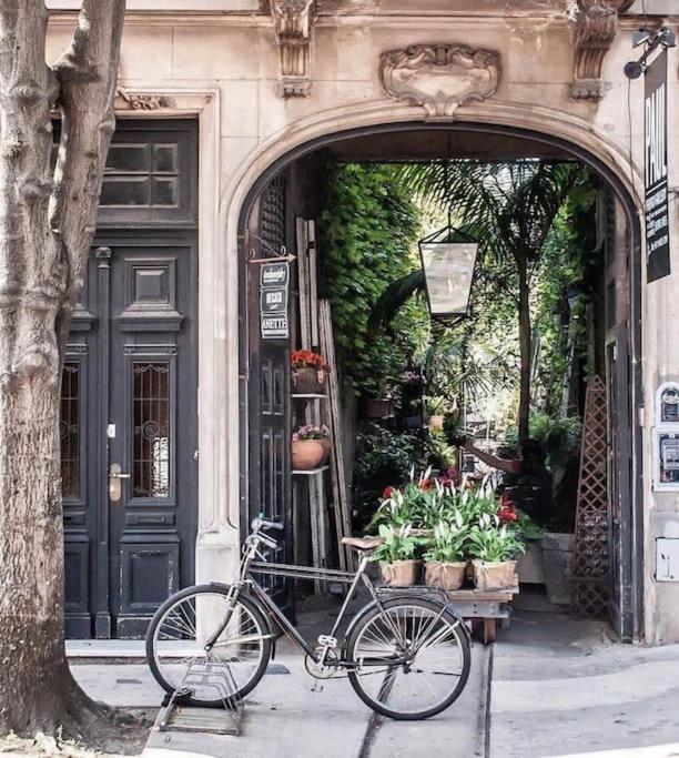 Apartamento Con Terraza Y Plantas * Buenos Aires