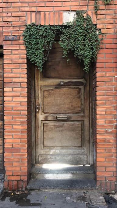 Apartamento Con Terraza Y Plantas Apartment
