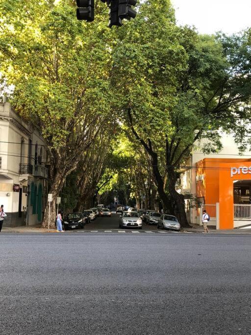 Apartamento Con Terraza Y Plantas Buenos Aires