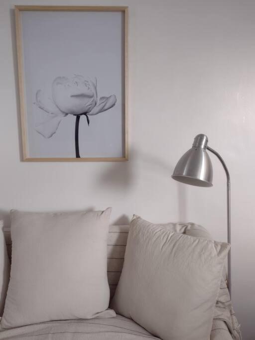 Apartment En Lo Mejor De Recoleta Buenos Aires