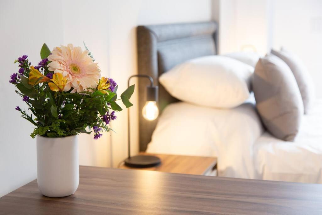 Apartment Silene Beautiful Studio