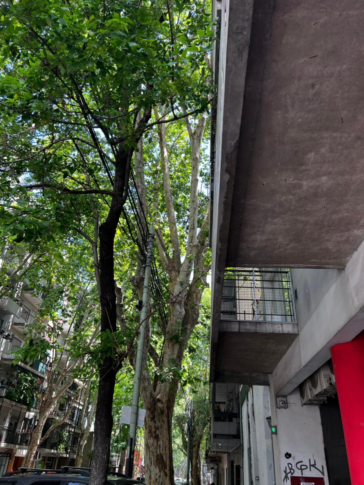 Apartment Almagro Departamentos De Diseno 2 Ambientes Y Balcon Buenos Aires