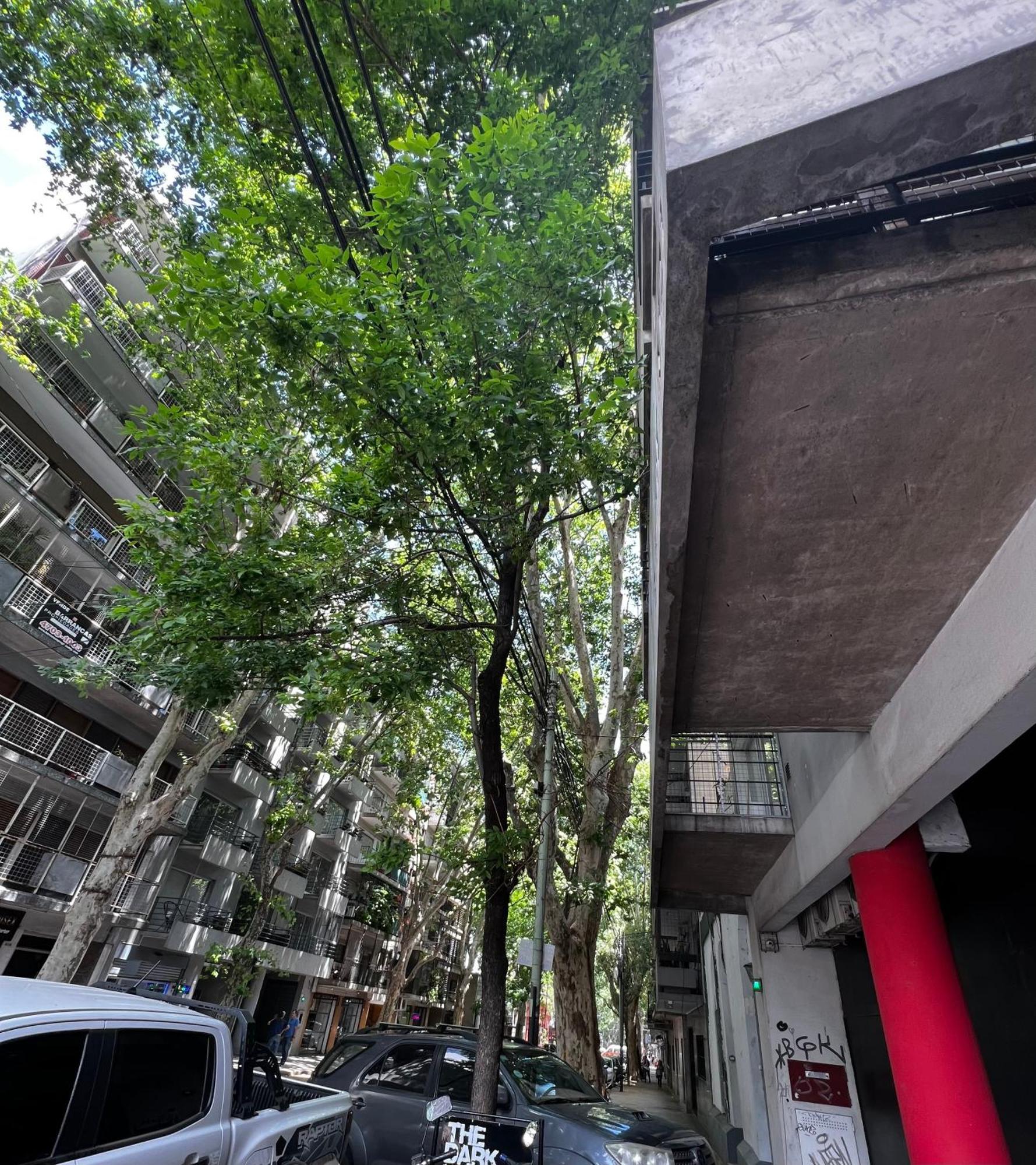 Almagro Departamentos De Diseno 2 Ambientes Y Balcon * Buenos Aires