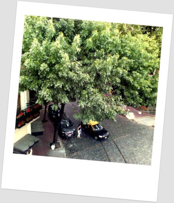 Departamento A Metros De Plaza Dorrego, San Telmo Apartment *