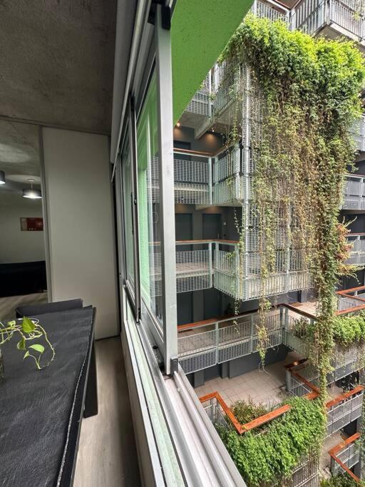 Serene Haven Retreat Apartment Buenos Aires