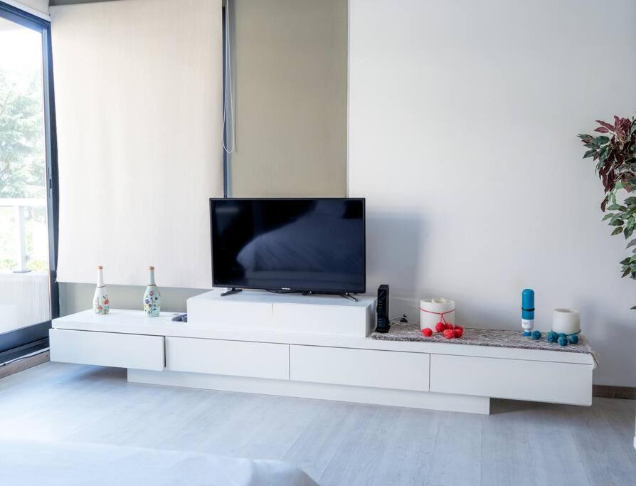 Palermo Hollywood: Modern & Exclusive Bright Buenos Aires