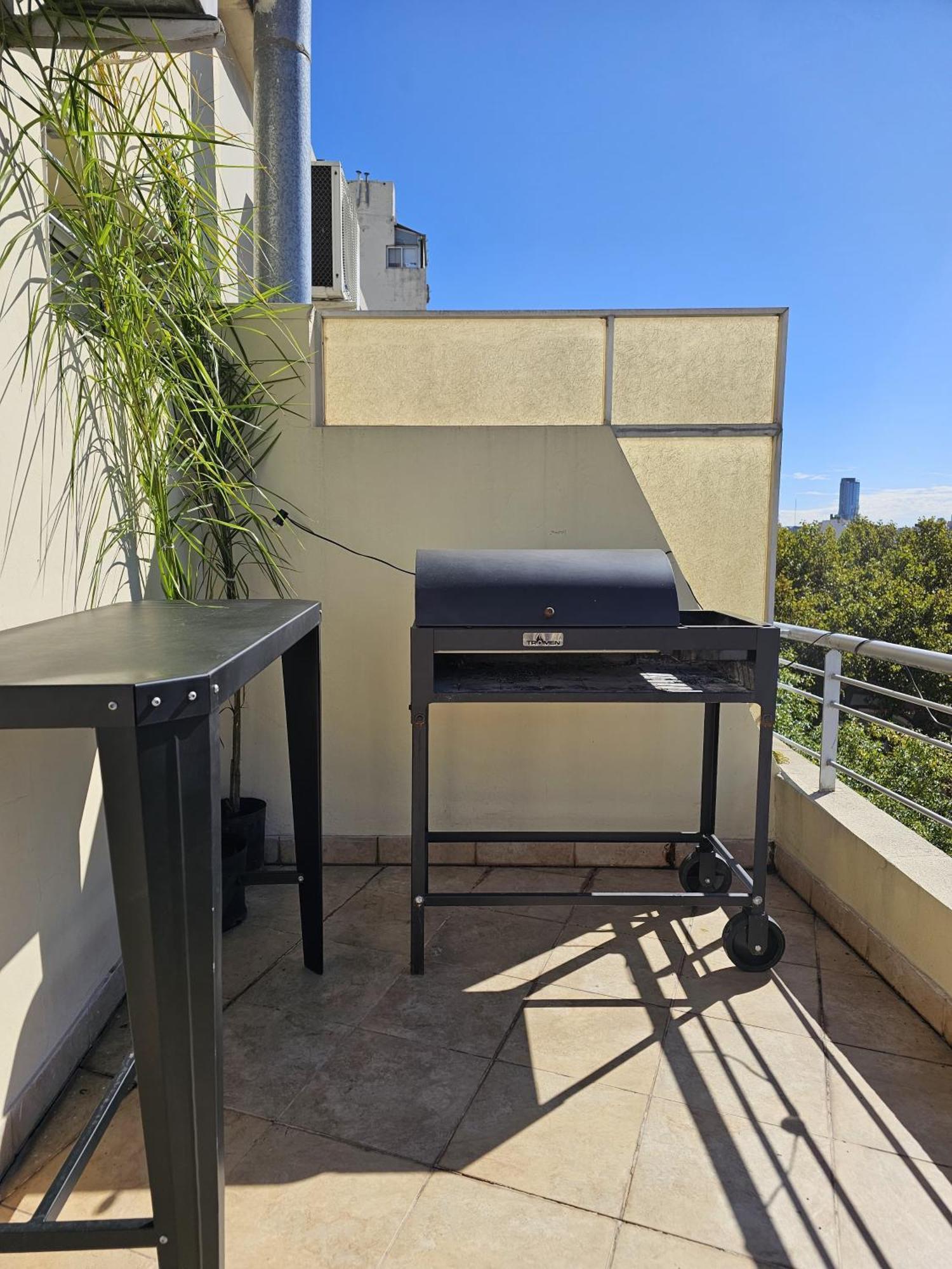 Palermo Duplex Con Terraza Propia Buenos Aires