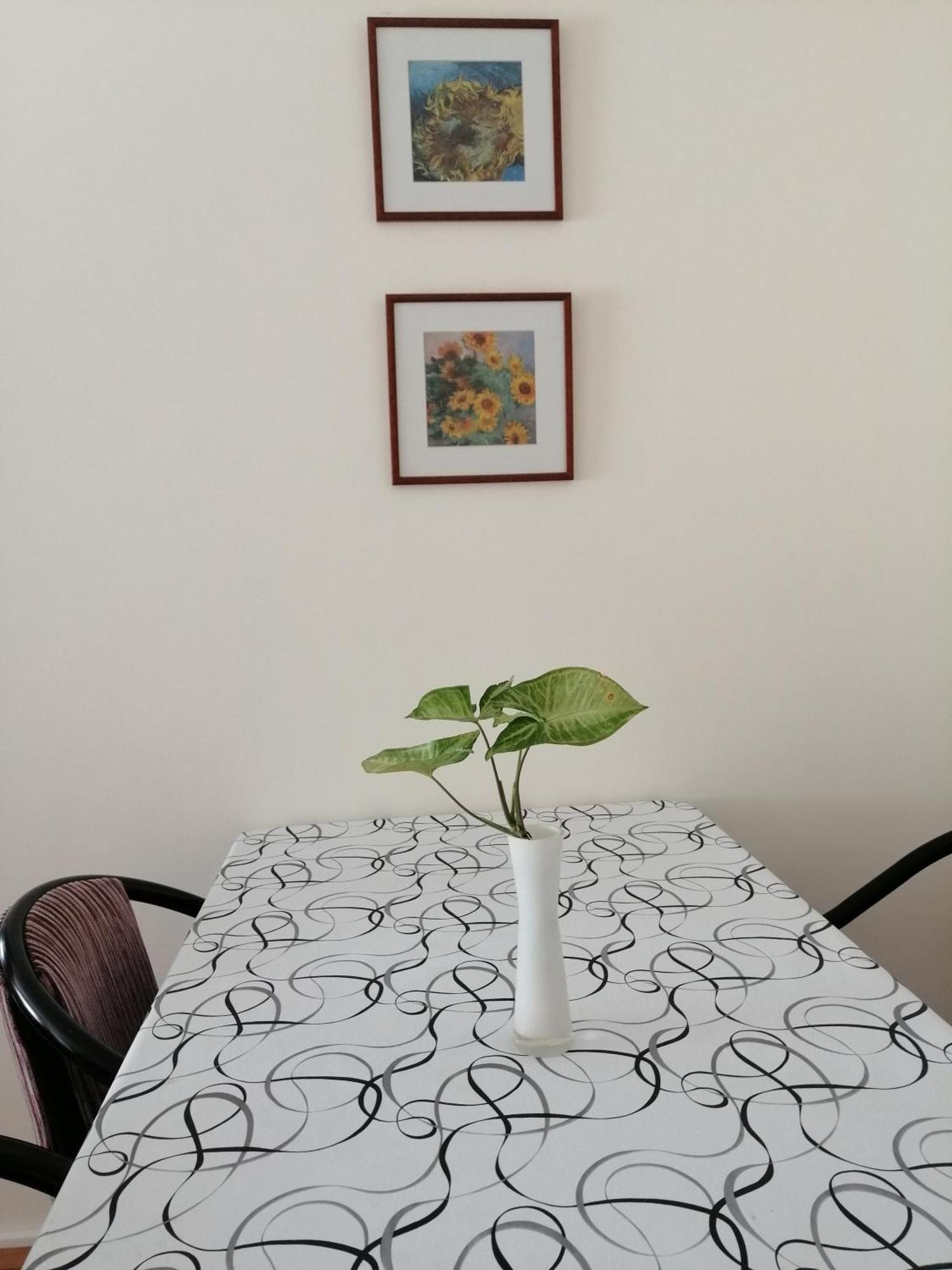 Apartamento Baires
