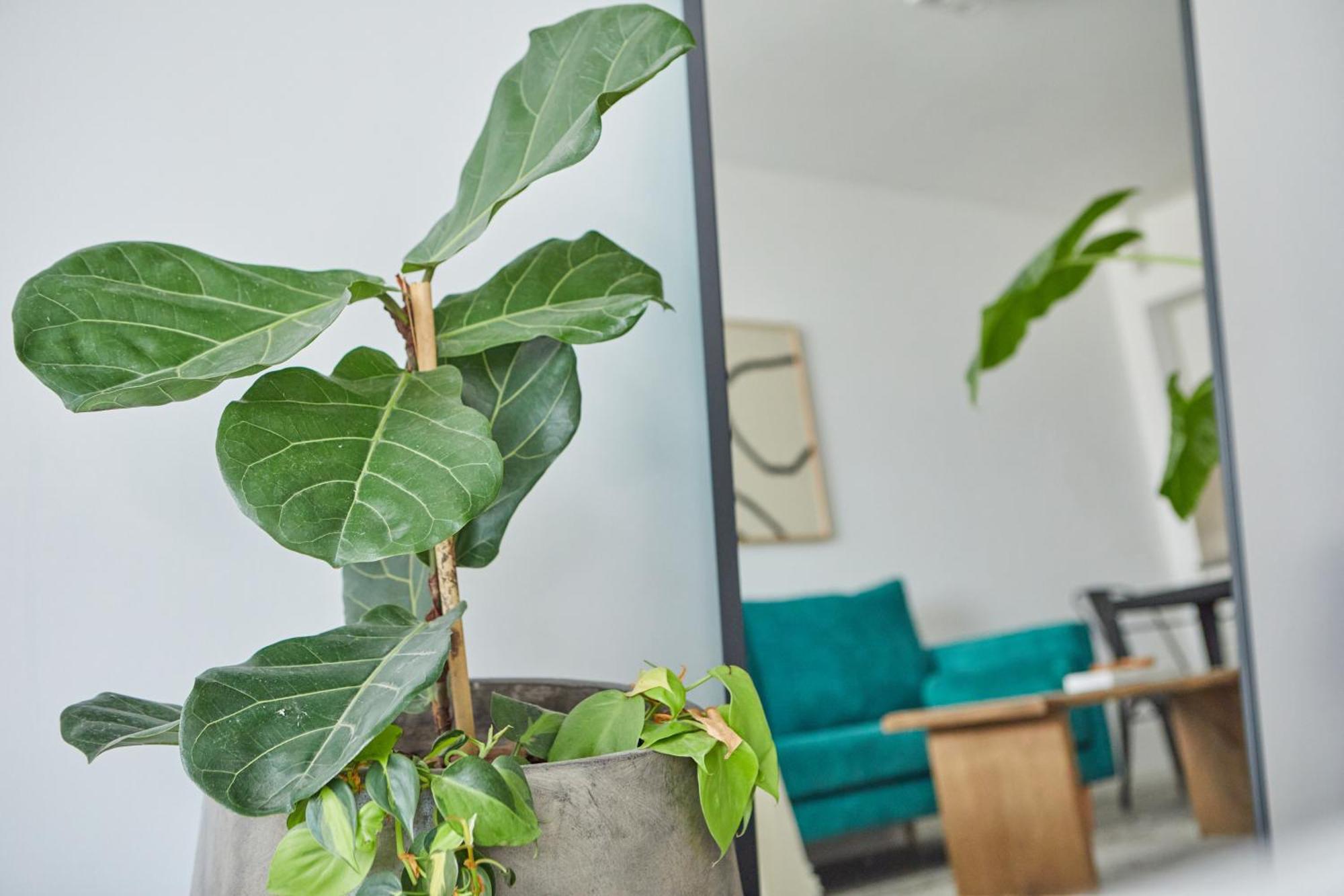 Apartment Nido At Cabello Square Buenos Aires