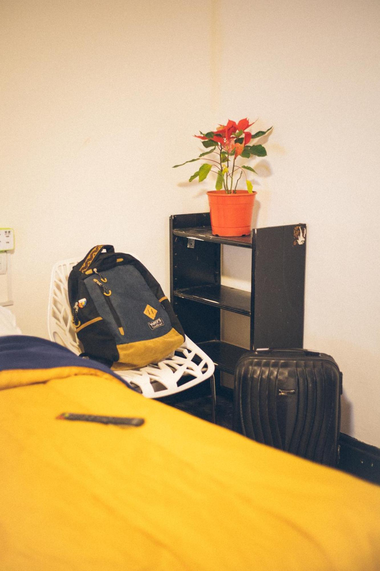 Ideal Social Hostel *