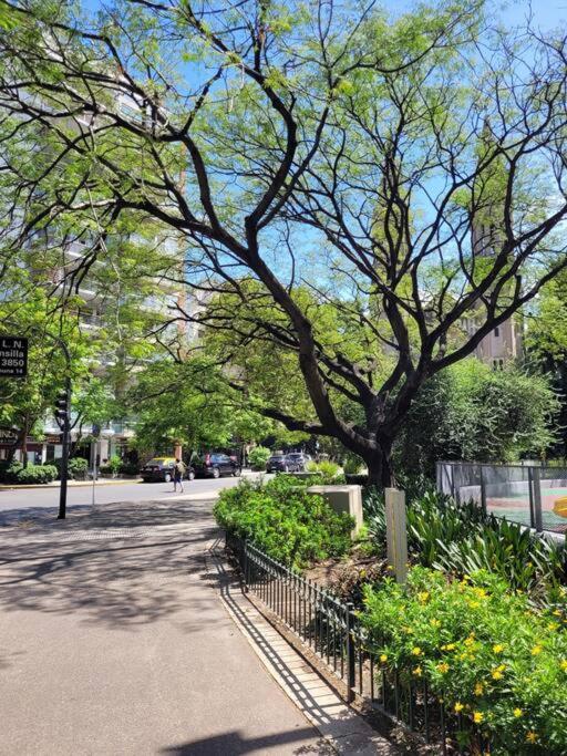 Apartment Dpto 2 Amb En Palermo A 300mts Av Santa Fe Y Subte D Buenos Aires